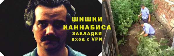 стаф Сосновый Бор
