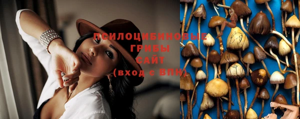 spice Белоозёрский