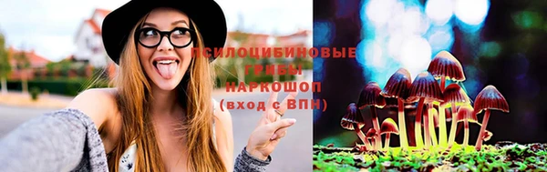 mdpv Белокуриха