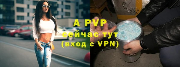 spice Белоозёрский
