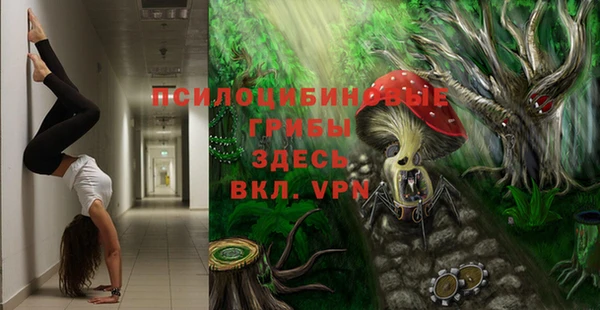 mdpv Белокуриха