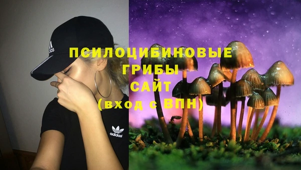 spice Белоозёрский