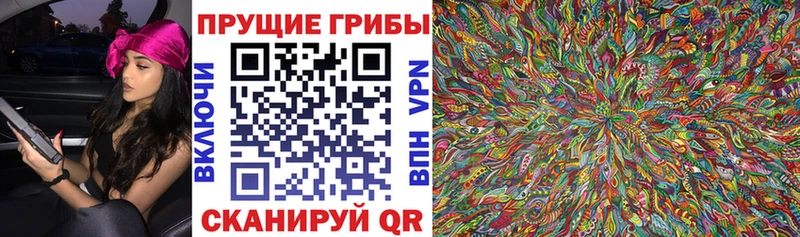 Псилоцибиновые грибы Psilocybine cubensis  Шагонар 